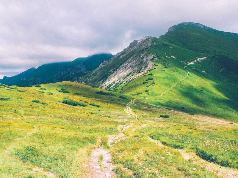 Alpkäsewanderung mit Klaudia