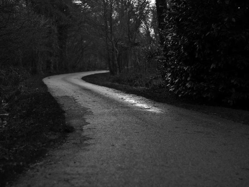Führung Weg der Sinne - Weg der Stille