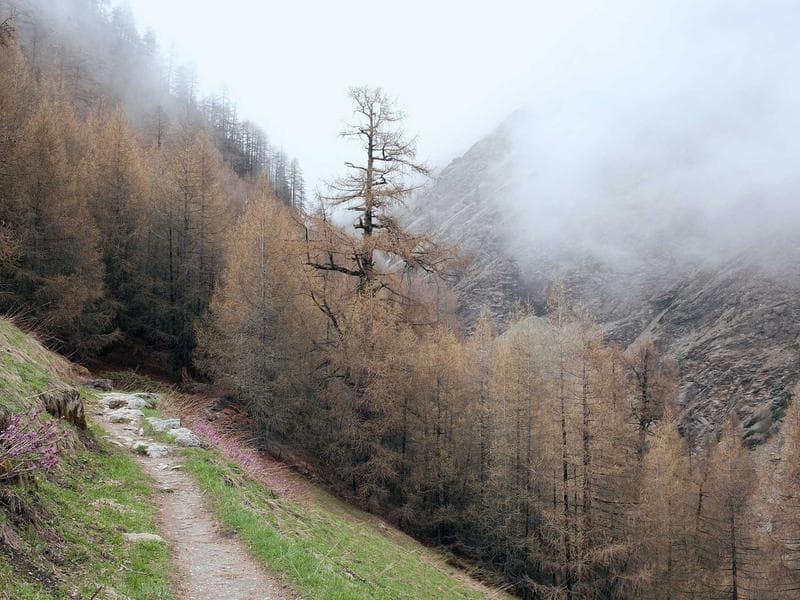Wanderbus Europaschutzgebiet Verwall - Silbertal