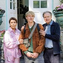 Filme unter Sternen