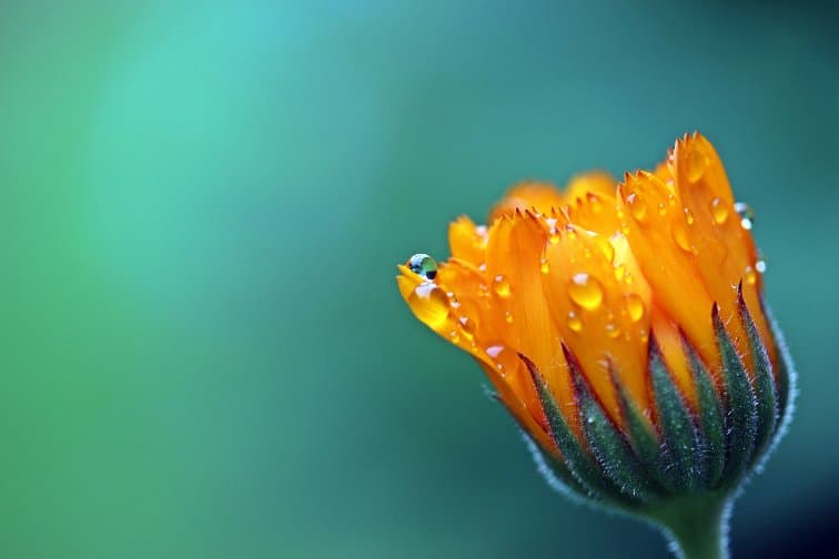 Atem – Bewegung – Stimme | Heilende Energiequellen aktivieren