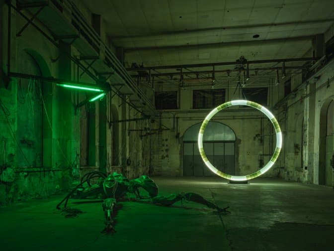 Davide Allieri im Kunstraum Dornbirn
