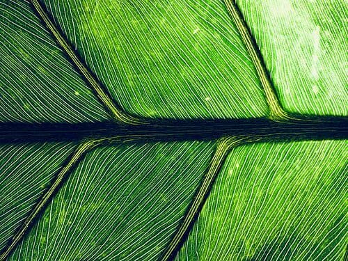 Wenn die Erde spricht – Unterwegs im Dialog mit der Natur