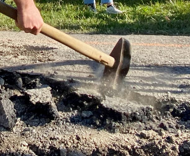 DIY-Workshop: Gemeinsam Boden entsiegeln & Vielfalt fördern
