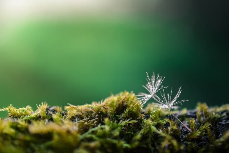 Atem- Bewegung- Stimme- Heilende | Energiequellen aktivieren