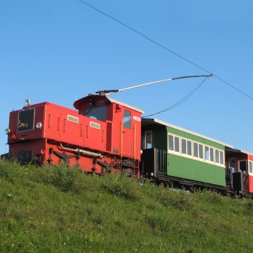 Wiesenrainfahrt mit E-Lokomotive