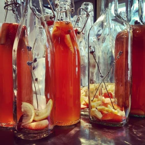 Fermentieren: Kombucha, Gingerbeer und co.