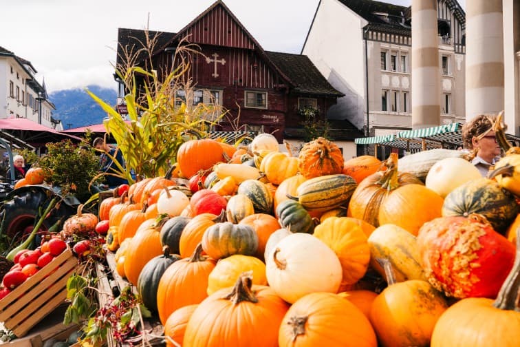 „Bsundrigs im Herbst“
