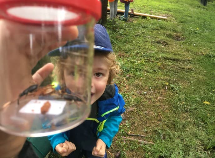 OUT OF THE BOX: Abenteuer Natur - mit Kindern die Natur spielerisch en