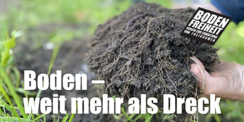 Boden – weit mehr als Dreck