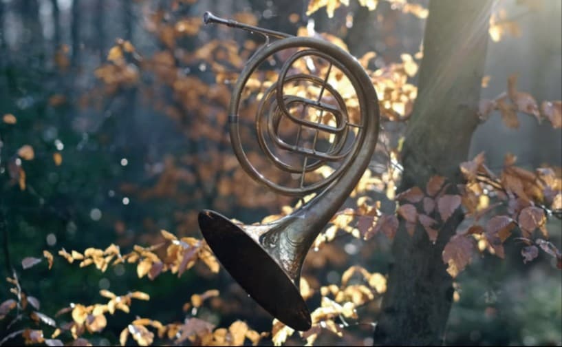 septimo: Konzert Wald und Jagd in der Musik der Romantik