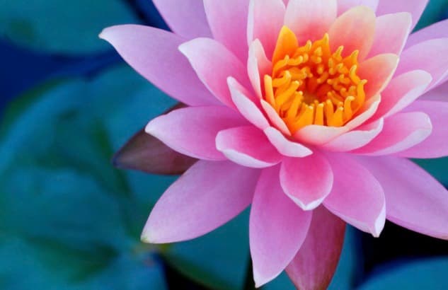 Einblick ins Taiji und Qigong