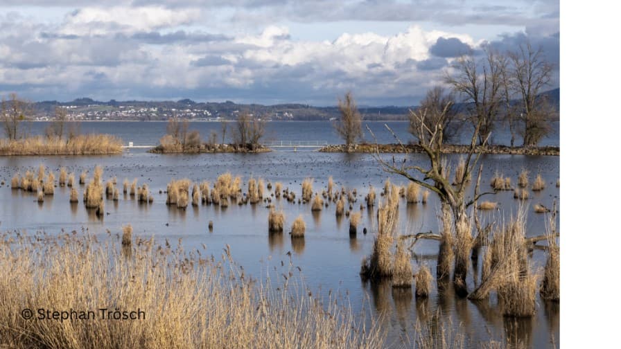 "Das Vorarlberger Rheindelta - eine Landschaft im Wandel der Zeit"