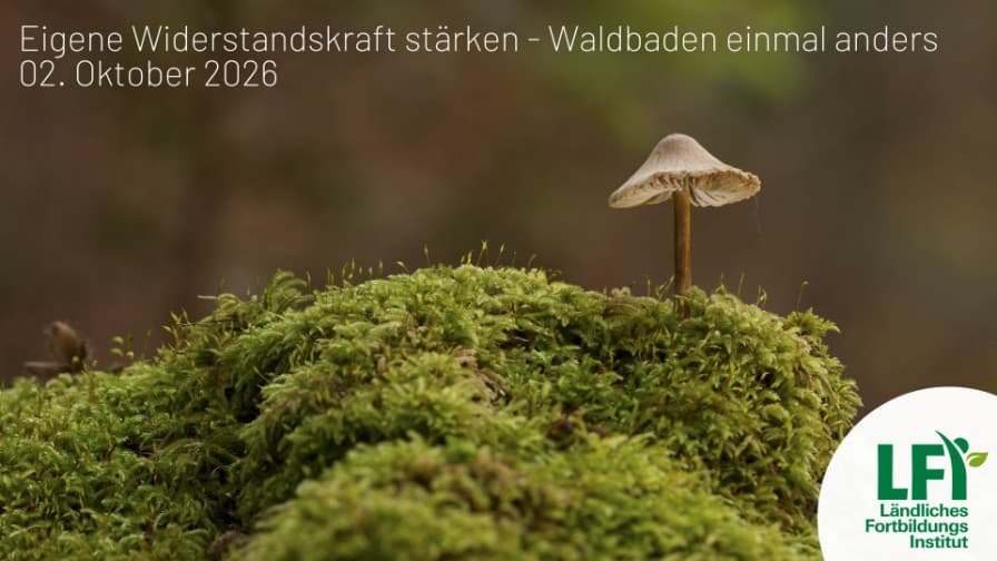 Eigene Widerstandskraft stärken - Waldbaden einmal anders