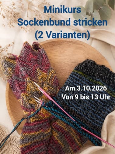 Minikurs - Sockenbund stricken mal anders